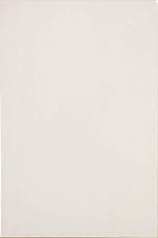 Bílý obklad W2030, 20x30 cm